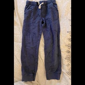 Carter’s boy dinosaur pants